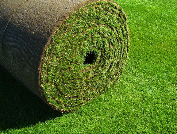 big-roll-sod.jpg