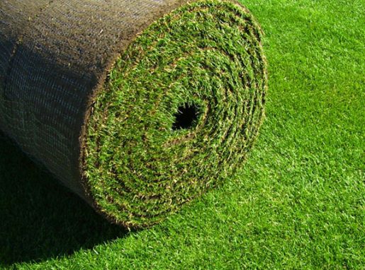 big-roll-sod