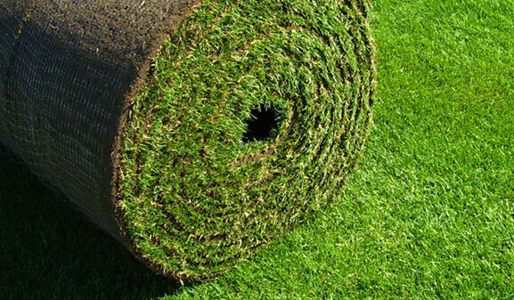 big-roll-sod