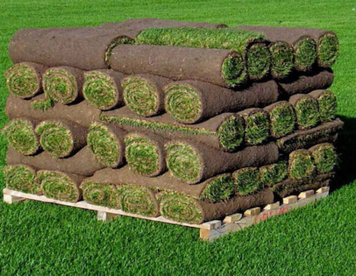 pallet-of-small-rolls-e1646074196777-copy.jpg