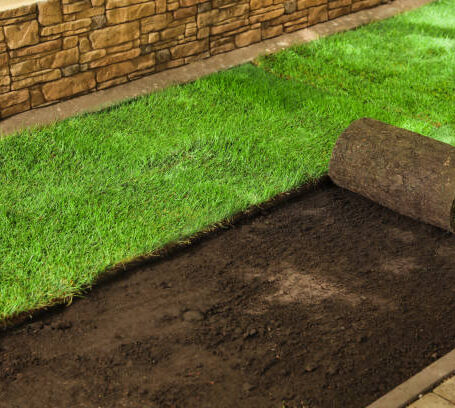 sod-ban.jpg